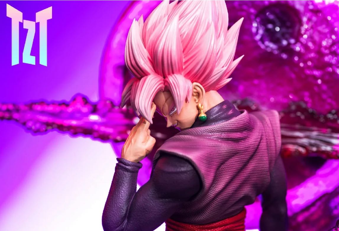 Dragon Ball Z Zamasu Black Goku Garage kit figure